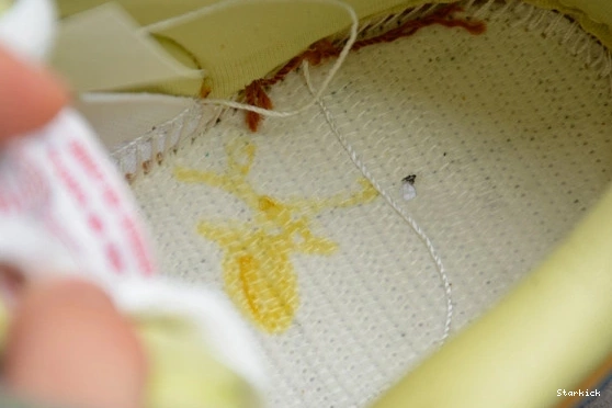 Ale Brown Dunk Low Newcastle Nike 313170-741 SB 1113